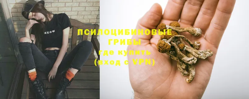 МЕГА tor  Суоярви  Псилоцибиновые грибы GOLDEN TEACHER 